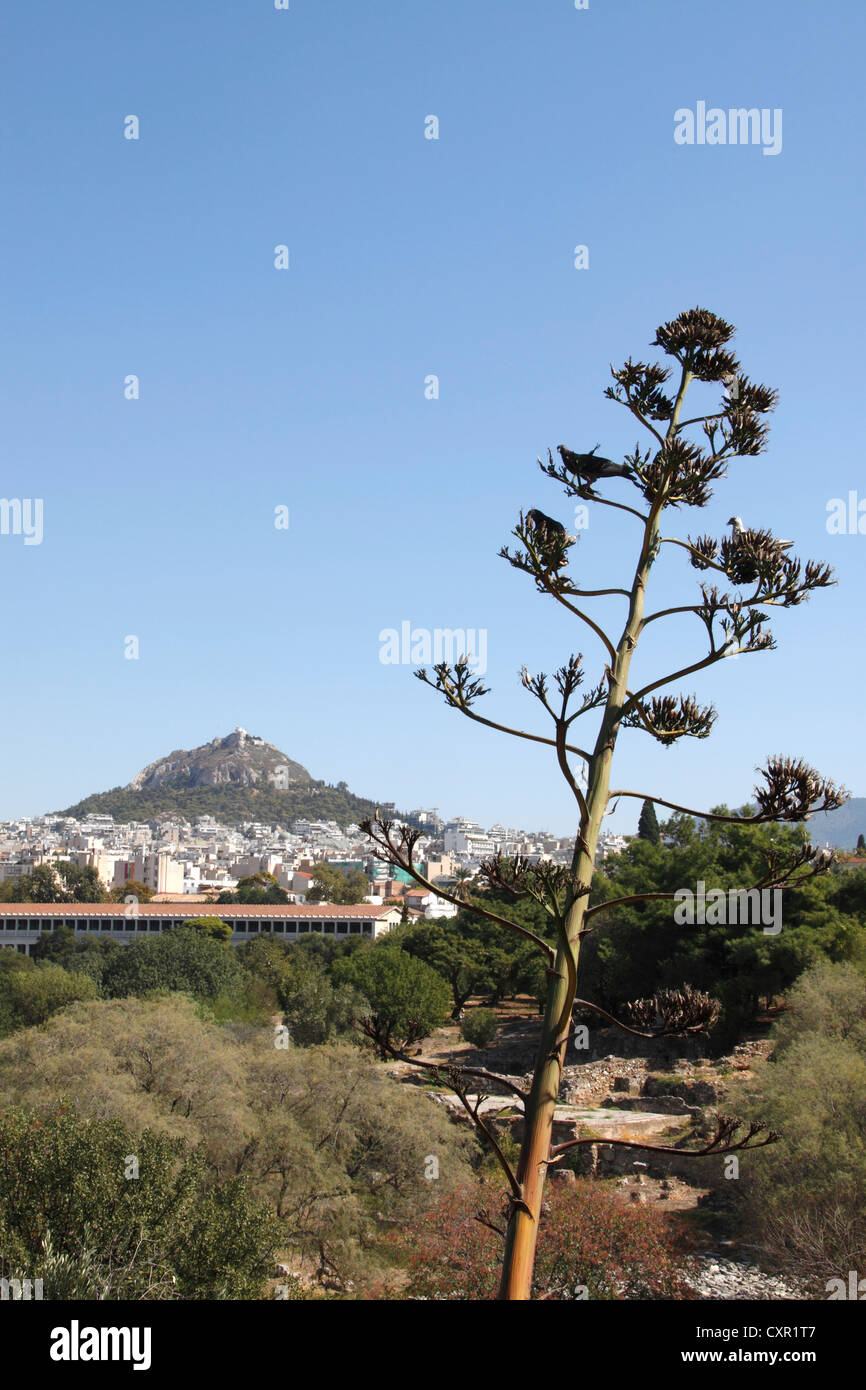 Blick auf Mount Lycabettus von Apostolos Pavlos Pesdestrian Straße, Athen, Attika, Griechenland Stockfoto
