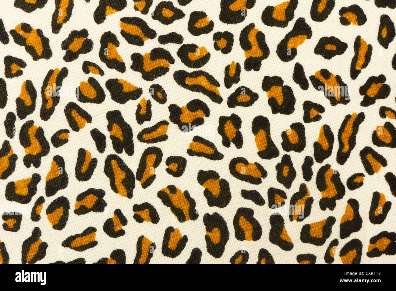 Leopard print materiellen Hintergrund Stockfoto