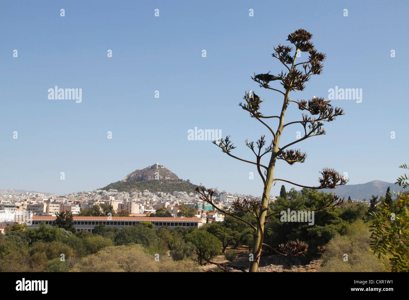Blick auf Mount Lycabettus von Apostolos Pavlos Pesdestrian Straße, Athen, Attika, Griechenland Stockfoto