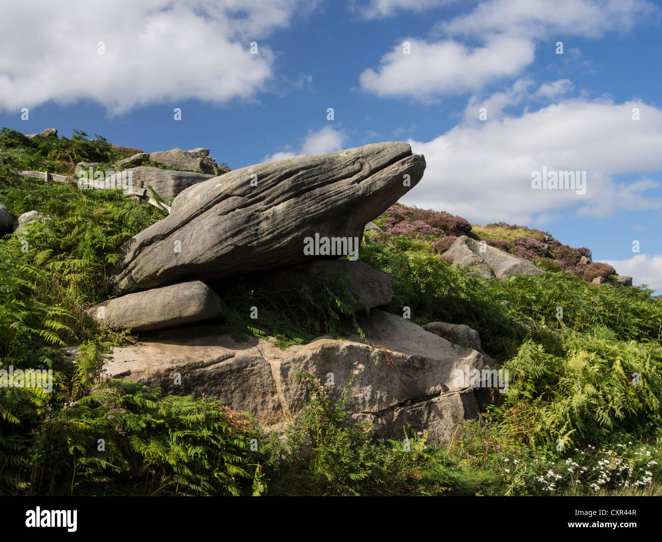 Felsformation in den Peak District Derbyshire bekannt als Kröten Mund Hathersage Moor England UK Stockfoto