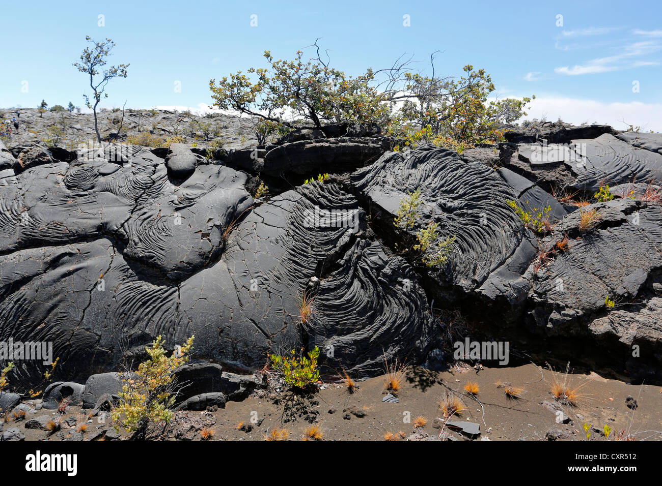 Pahoehoe, glatten, ununterbrochenen Lava, Kau Desert Trail, Hawaii Volcanoes National Park, Big Island, Hawaii, USA Stockfoto