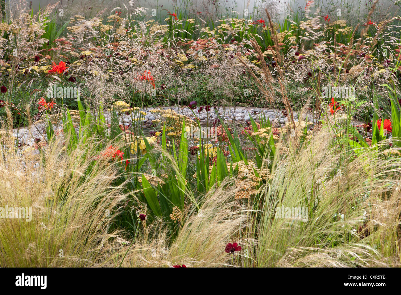 Sommergarten mit gemischten Ziergräsern Gras und bunten Blumen Grenze mit einem kleinen Teich Wasser Feature UK Stockfoto