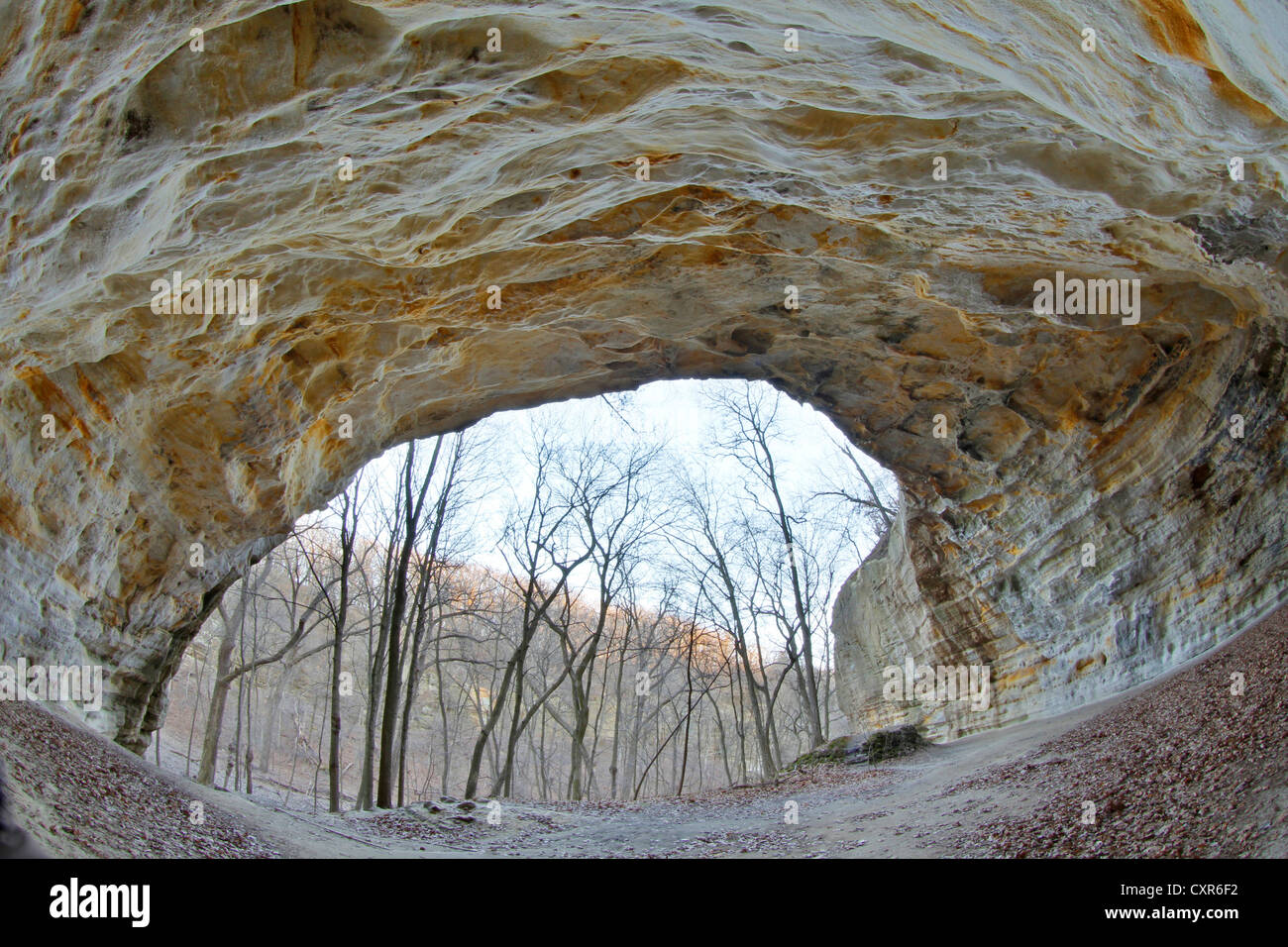 Rat Überhang Höhle verhungert Rock State Park, Südliche Illinois, USA, Nordamerika Stockfoto