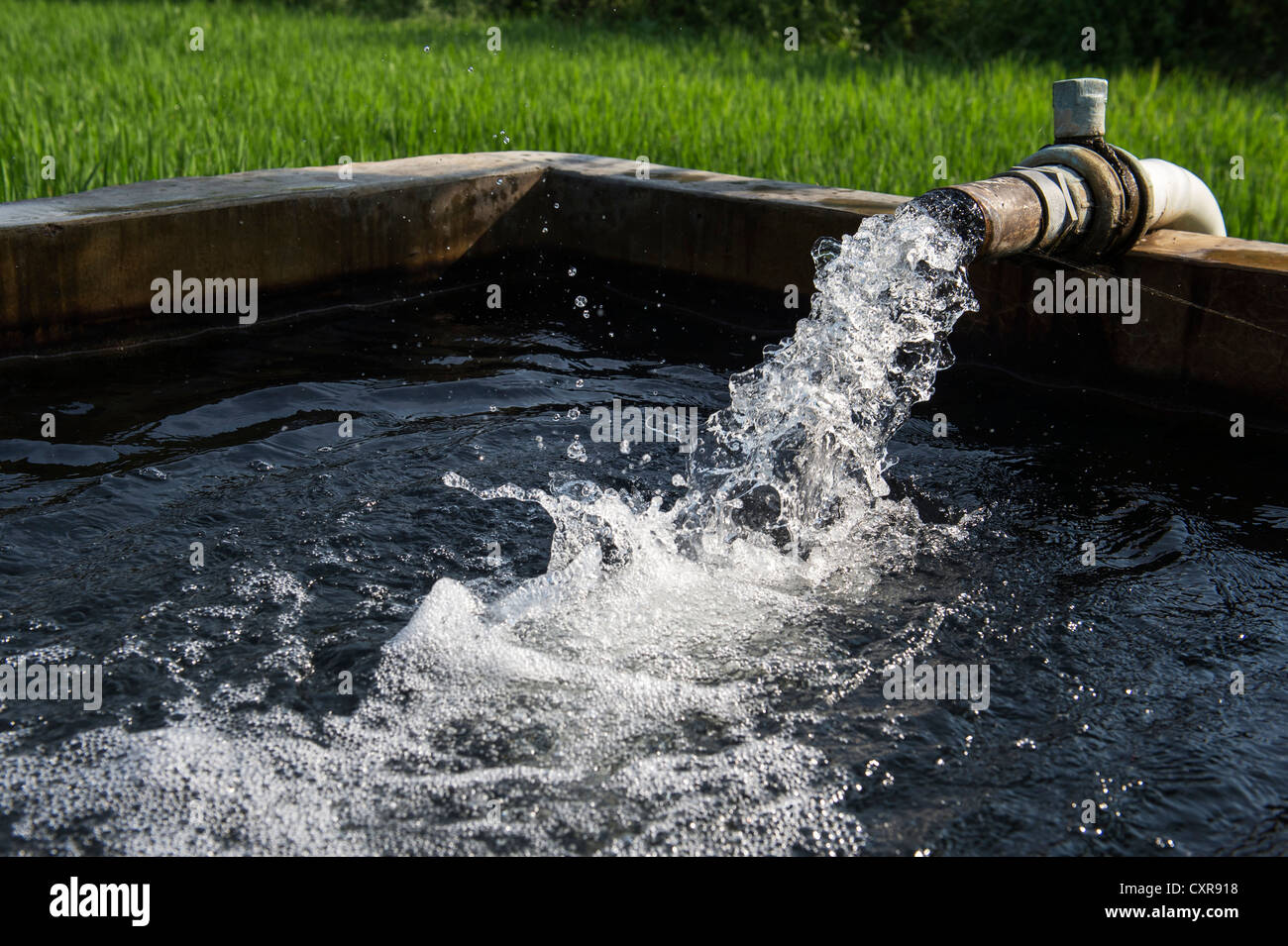 Wasser in einem Vorratstank bevor er auf einem Reisfeld für Bewässerung gepumpt wird. Andhra Pradesh, Indien Stockfoto