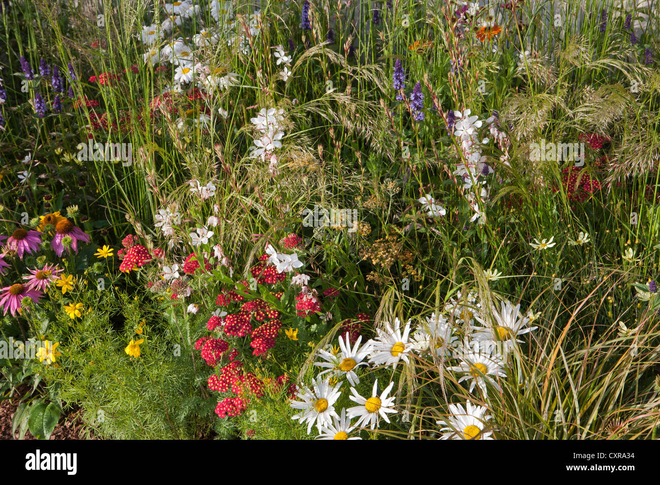 Der Mornflake Garten, entworfen von Janine Crimmins erhielt Gold und beste Show Garten Tatton Park RHS Flower Show 2012 Stockfoto