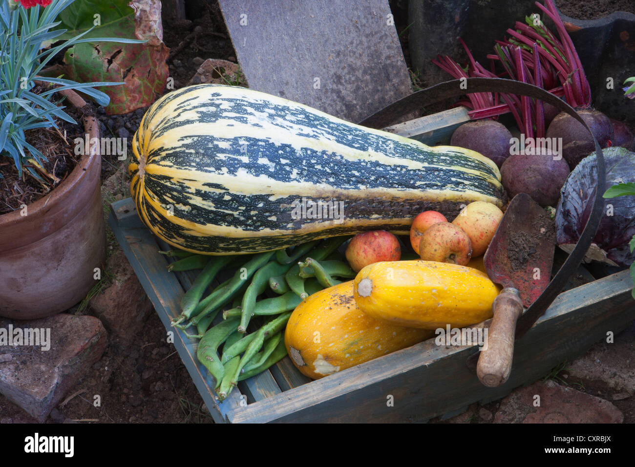 Garten-Designer Mark Walker essbaren Garten Graben für Sieg vergeben Silber vergoldet Flora Malvern Herbst show 2012 Stockfoto