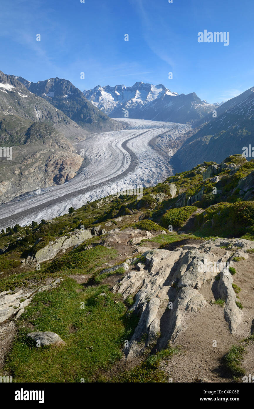 Grossen Aletschgletschers, UNESCO-Weltkulturerbe Jungfrau-Aletsch, Goms, Wallis, Schweiz, Europa geschützt Stockfoto
