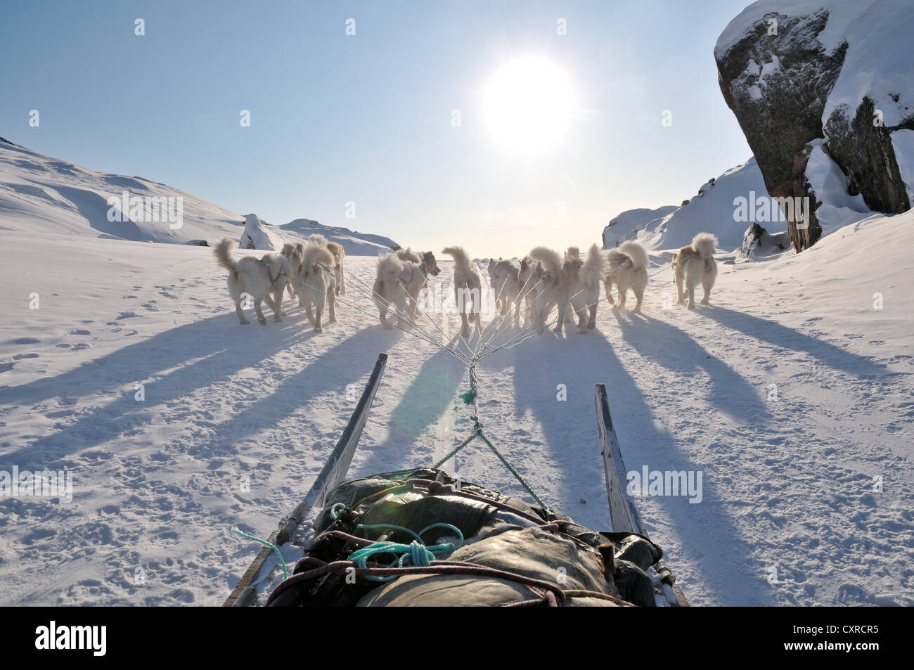 Hund-Rodeln-Reise zum Ilulissat Fjord, Grönland, Arktis Nordamerika Stockfoto