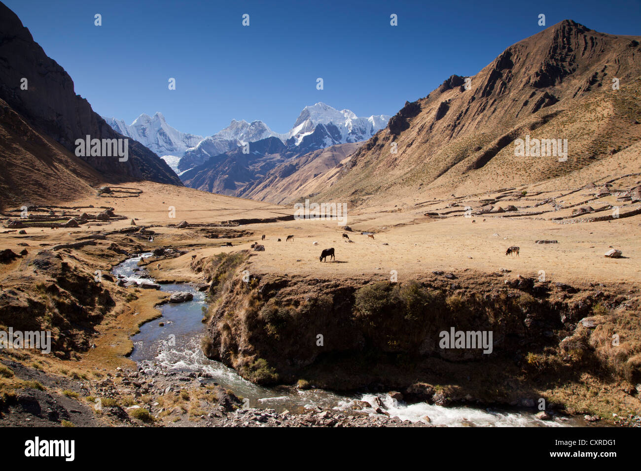 Rio Jahuacocha Fluss in den See Laguna Jahuacocha mit den Bergen Nevado