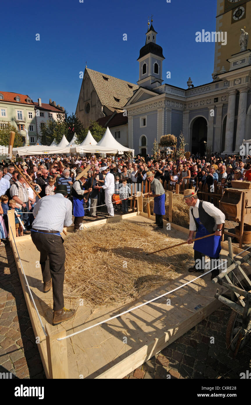 Erntedankfest, Domplatz Quadrat, Brixen, Provinz von Bolzano-Bozen, Italien, Europa Stockfoto