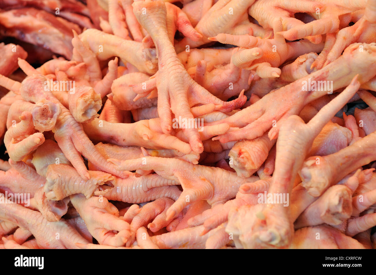 Huhn Füße, Markt in Tsim Sha Tsui, Hongkong, China, Asien Stockfoto