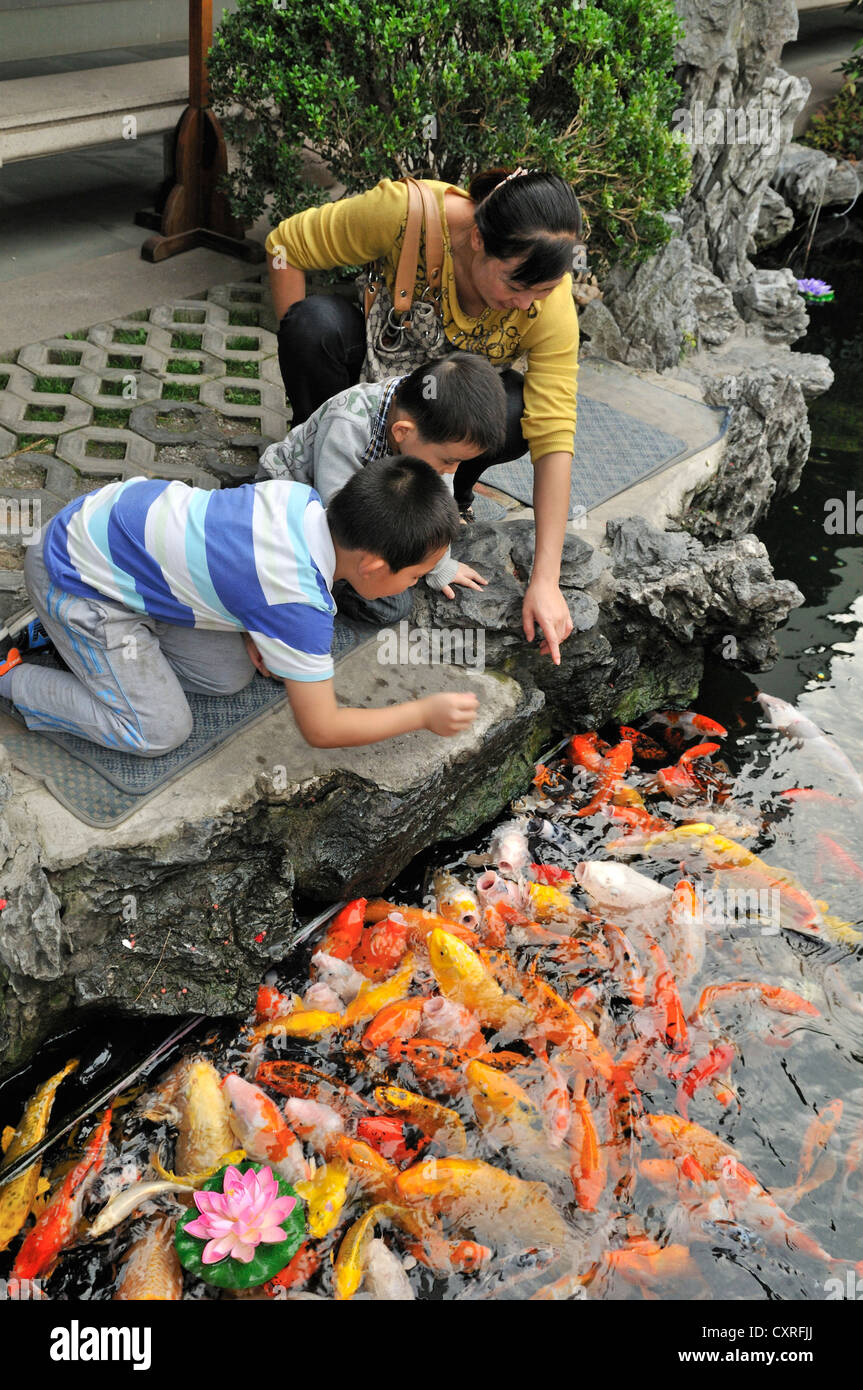 Besucher am Koiteich am Jade-Buddha-Tempel, Shanghai, China, Asien Stockfoto