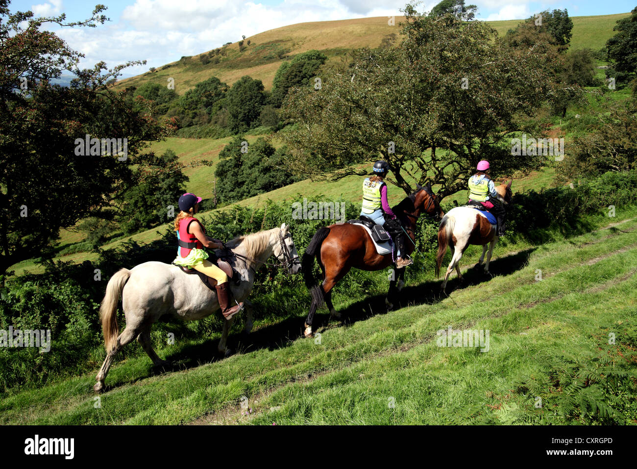 Drei Mädchen oder junge Frauen auf dem Pferderücken reiten entlang eines Pfads in der Nähe von Moel Arthur in Nord-Wales Stockfoto
