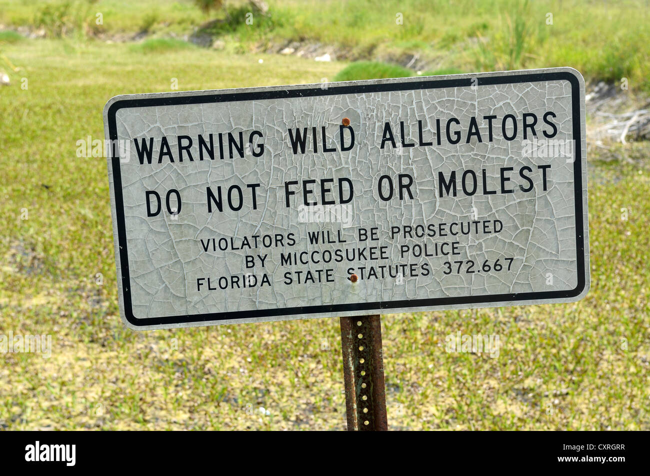 Melden Sie "nicht füttern oder Alligatoren zu belästigen", Seminole Land, Everglades, Florida, USA Stockfoto