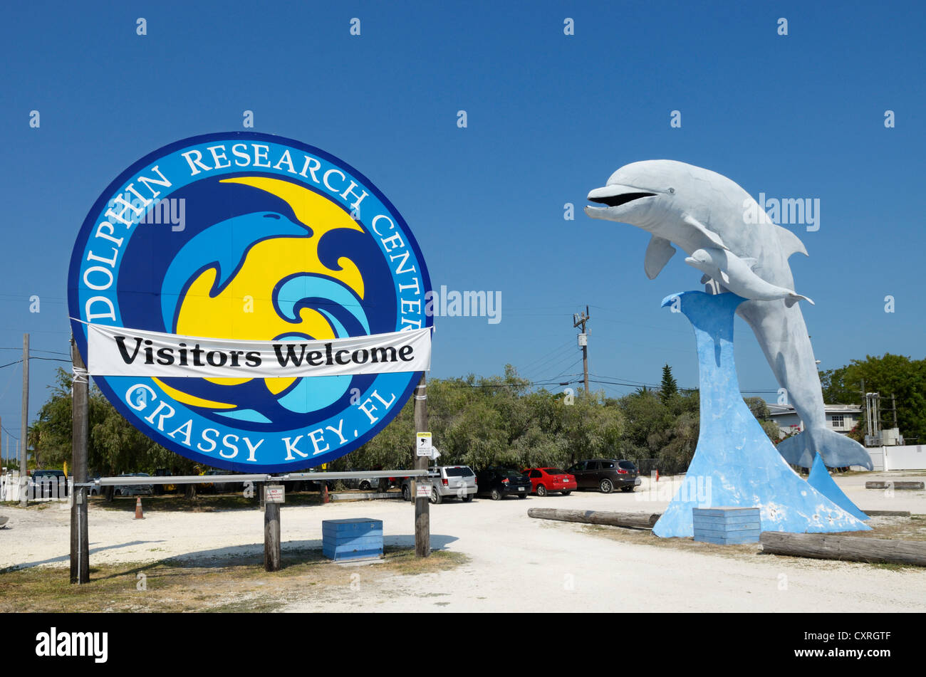 Dolphin Research Center, Grassy Key, Florida, USA Stockfoto
