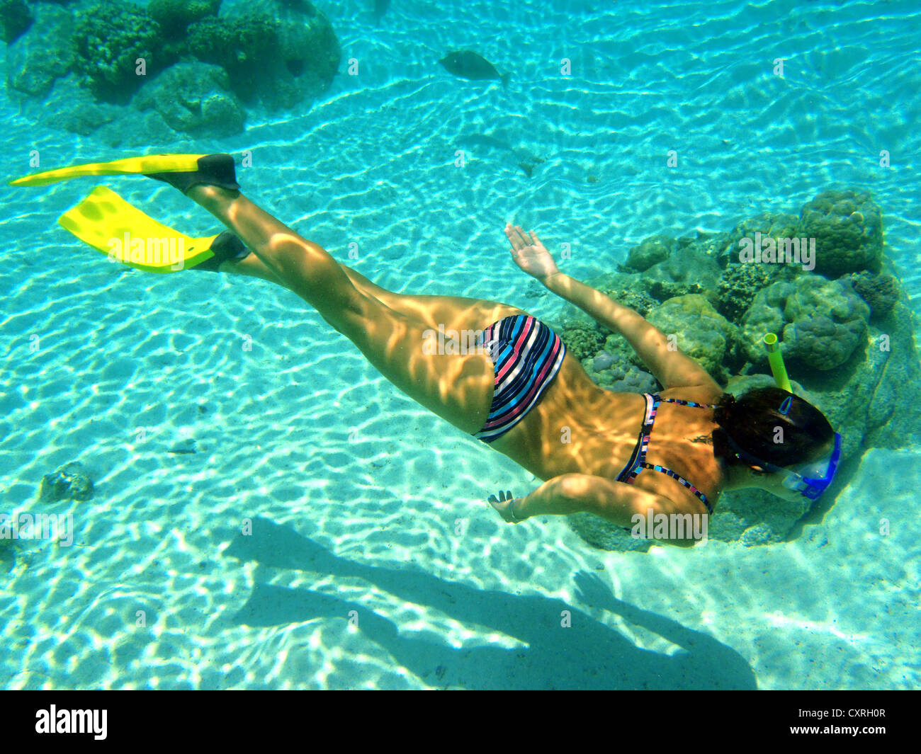 Schnorchler, Bora Bora, Leeward-Inseln, Gesellschaftsinseln, Französisch-Polynesien, Pazifik Stockfoto