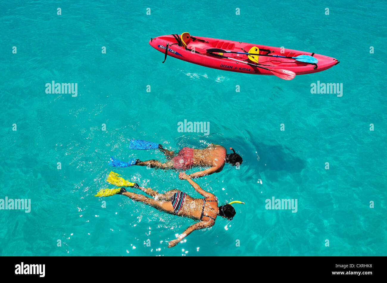 Schnorchler, Bora Bora, Leeward-Inseln, Gesellschaftsinseln, Französisch-Polynesien, Pazifik Stockfoto