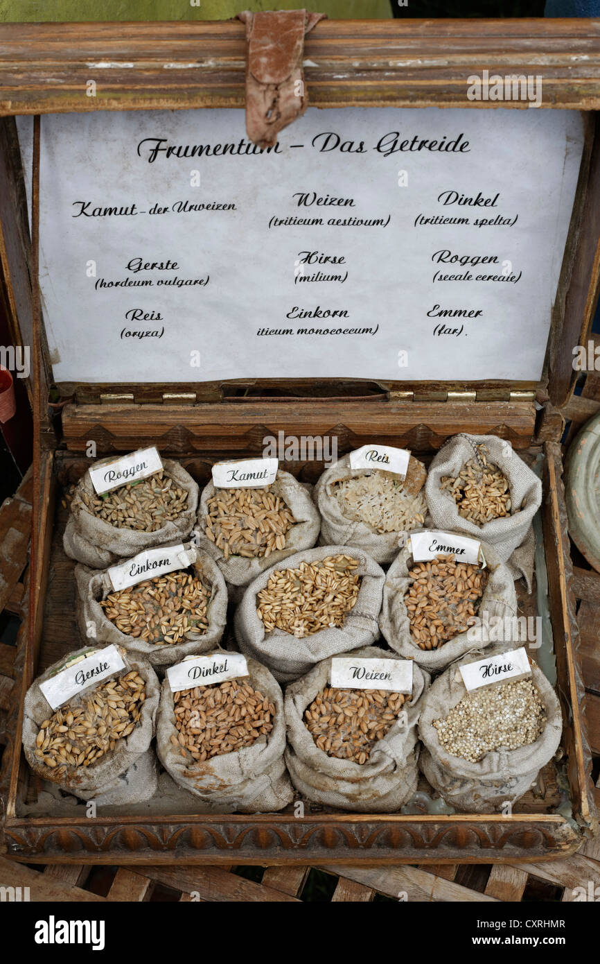 Vitrine mit Körnern des Altertums, Roman Festival, archäologischer Park Xanten, niedrigere Rheinregion, North Rhine-Westphalia Stockfoto