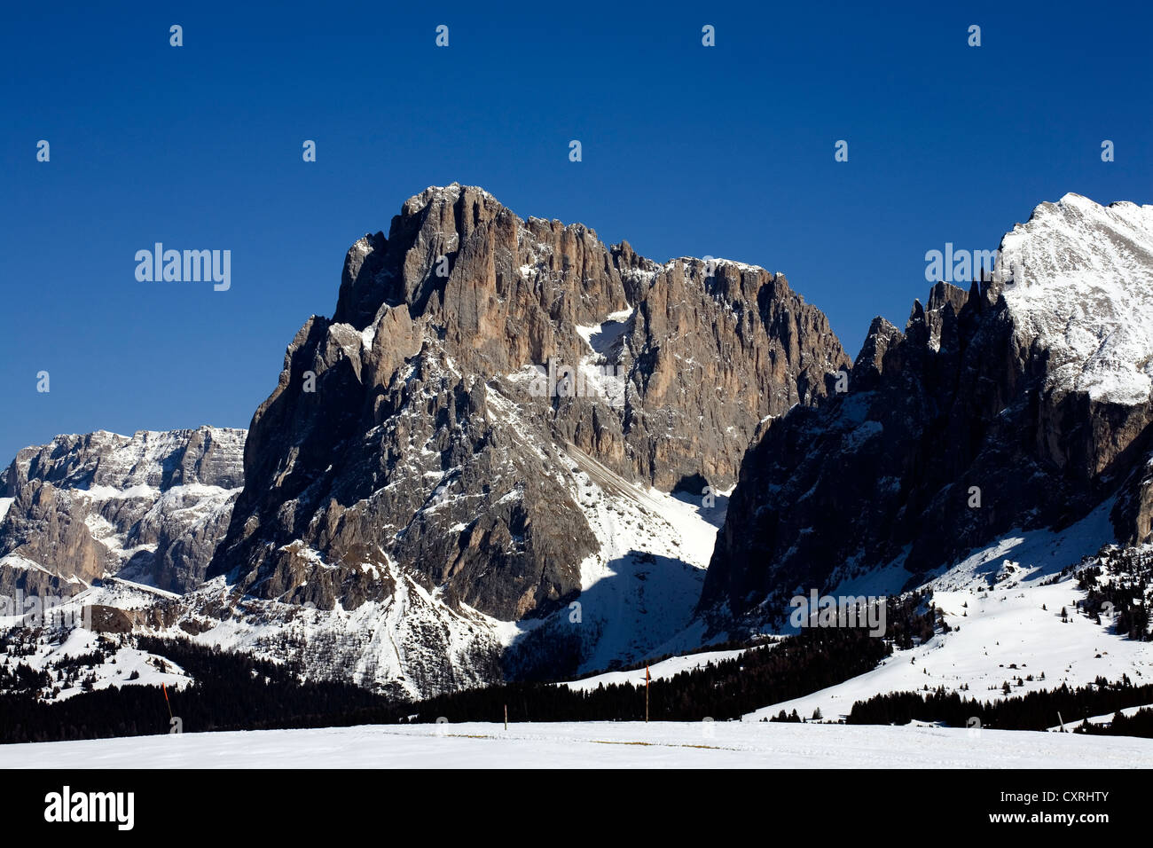 Sasso Piatto Plattkofels Sasplat Schneefeld und Sassolungo Langkofel in Backgoround Selva Val Gardena-Dolomiten-Italien Stockfoto