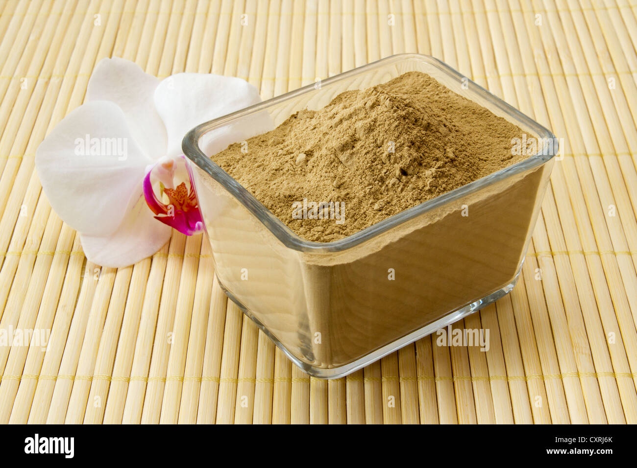 Heile die erde -Fotos und -Bildmaterial in hoher Auflösung – Alamy