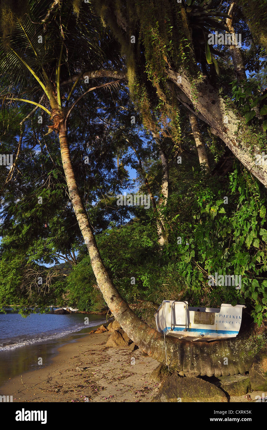 Boot liegend auf einer Palme am Strand von Ihla Grande, Brasilien, Südamerika Stockfoto