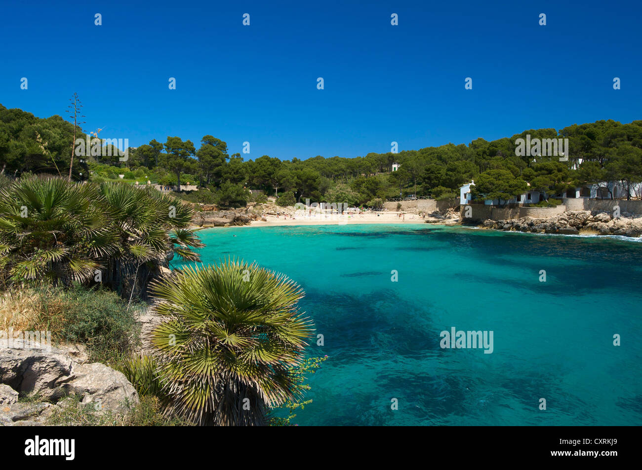 Blick auf Cala Gat in der Nähe von Cala Ratjada, Mallorca, Mallorca, Balearen, Spanien, Europa Blick auf Cala Gat in der Nähe von Cala Ratjada, Mallorca, Mallorca, Balearen, Spanien, Europa