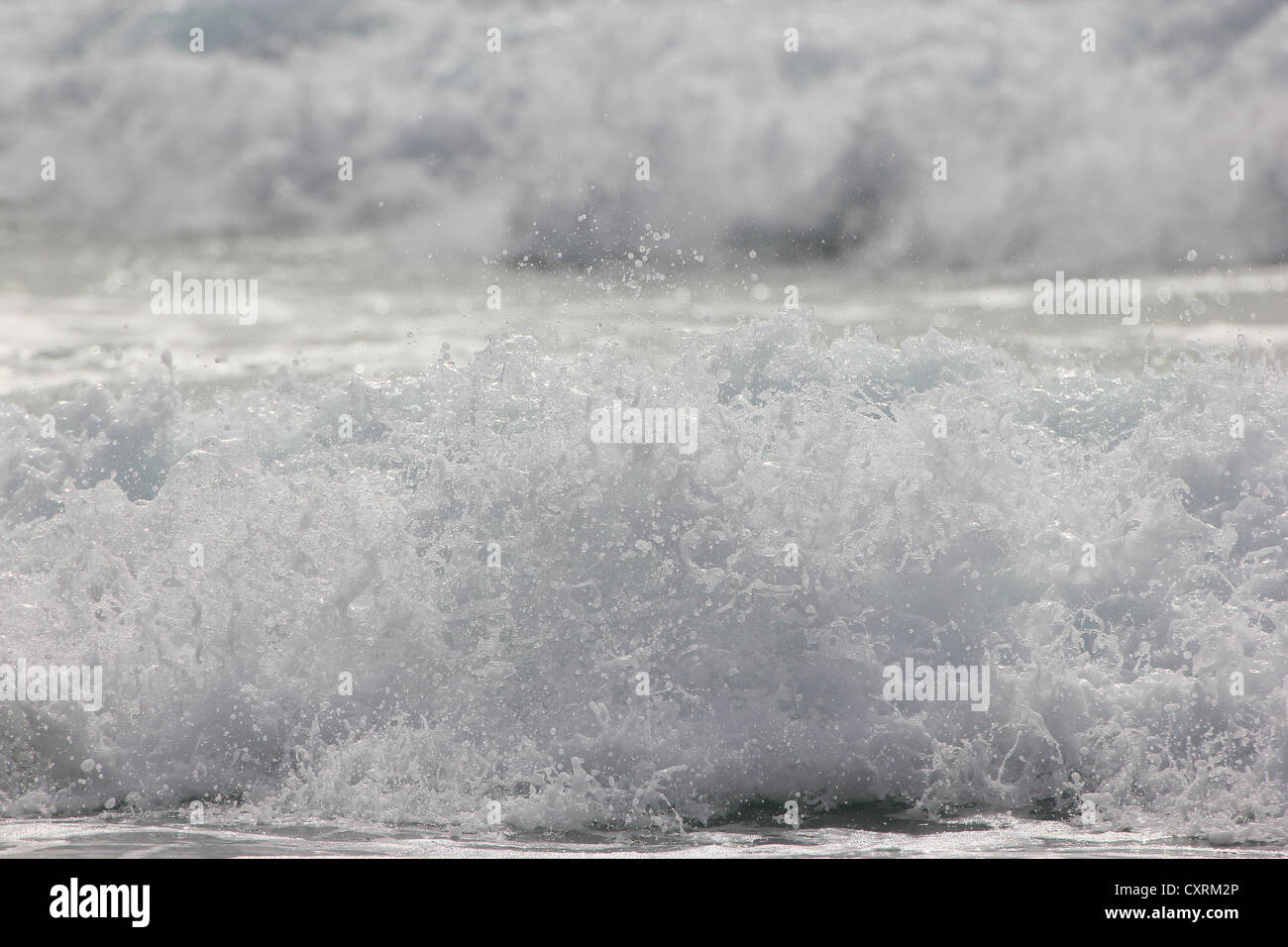 Surfer, Wasser, Surfen, Meer, Sand, Dünung, Wellen, Kanarische Inseln, Spanien Stockfoto