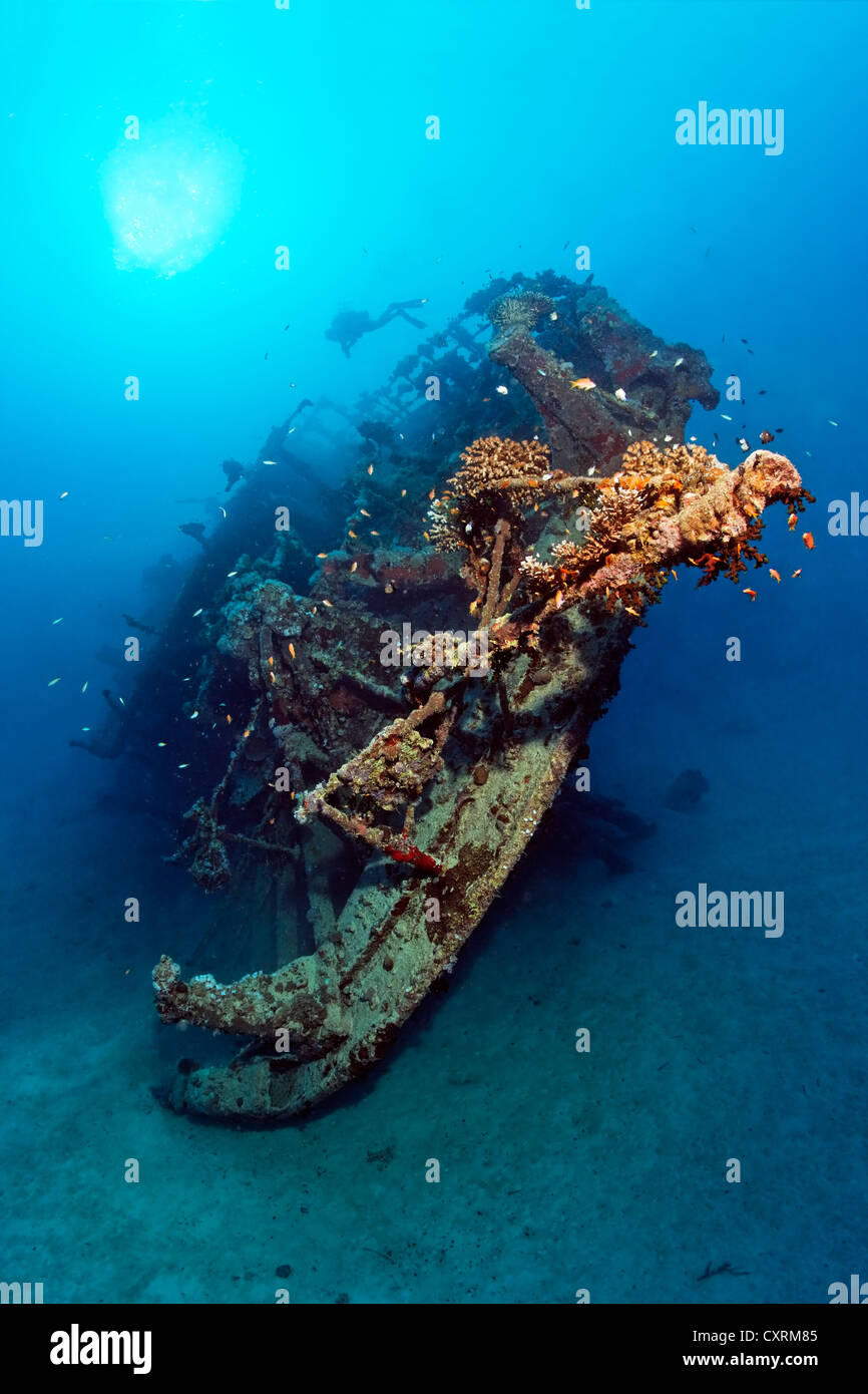 Stern, Schiffbruch, Tanker, S.S. Turbo bauen 1912, sank am 04.04.1942 während des zweiten Weltkriegs, von italienischen Torpedo, Taucher, Abu Dias getroffen Stockfoto