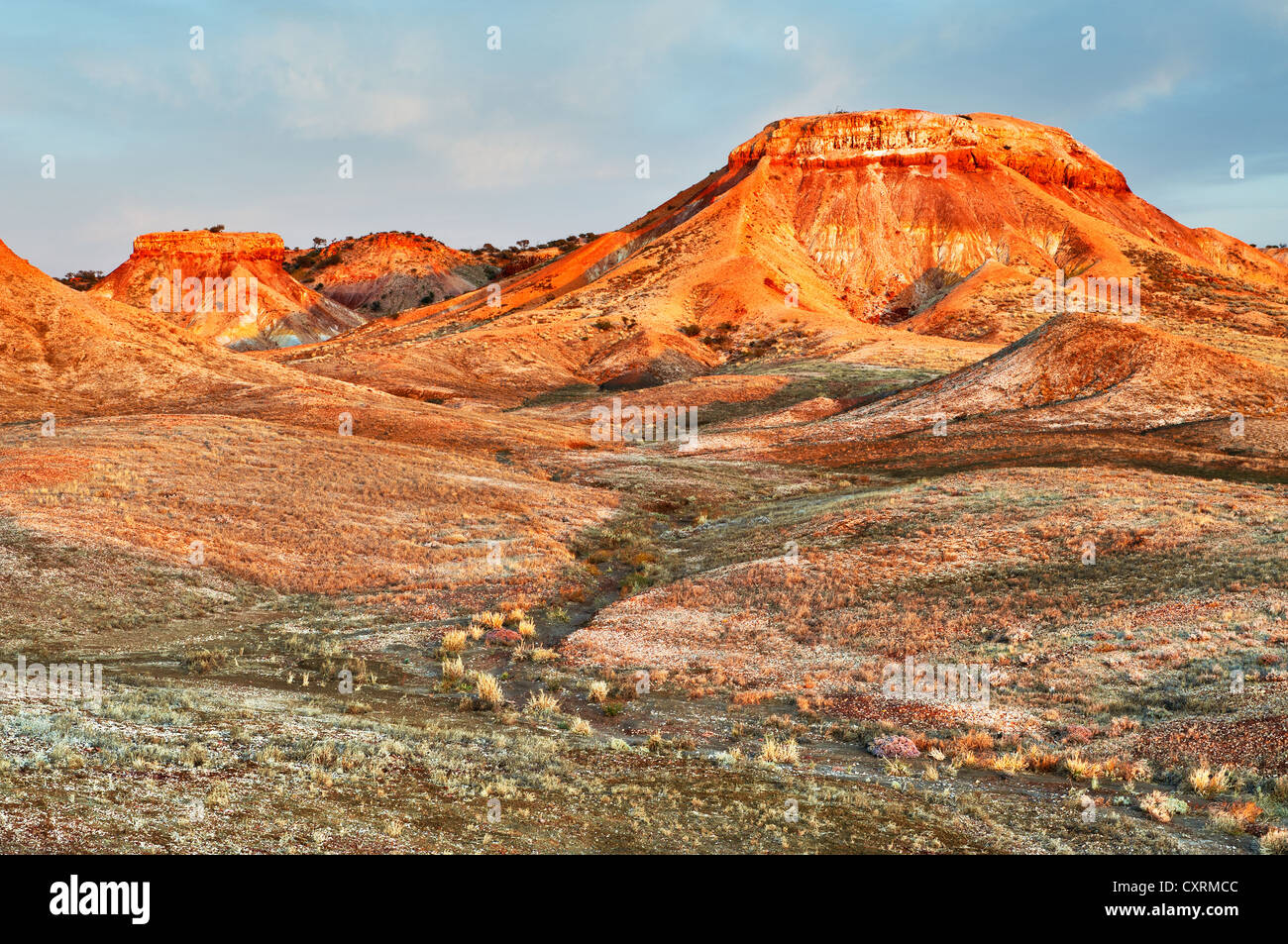 Painted Desert im ersten Licht des Tages. Stockfoto