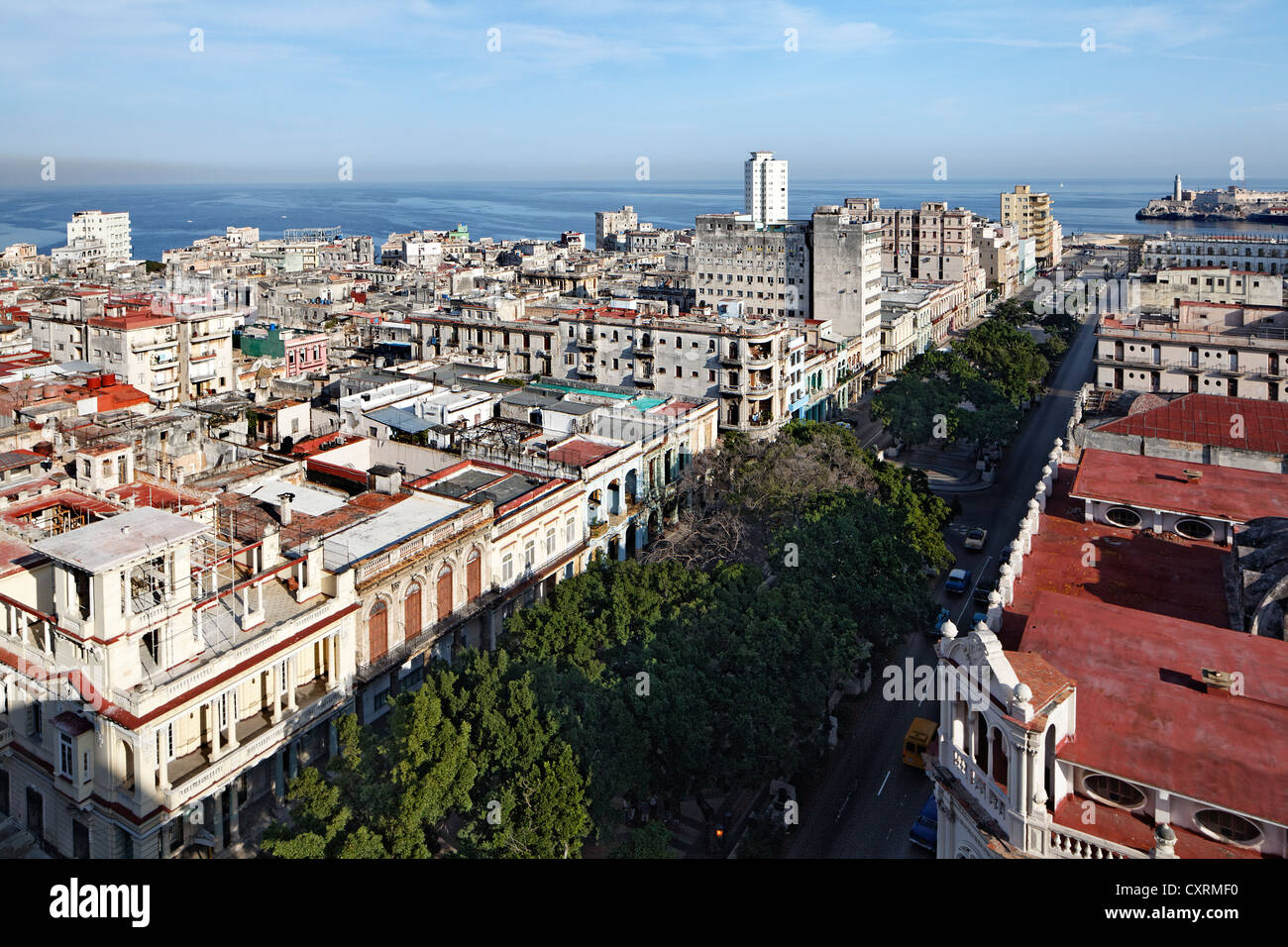 Prado, Paseo de Marti, von Bäumen gesäumten Boulevard, Panoramablick über die Dächer von Havanna, Villa San Cristobal De La Habana Stockfoto