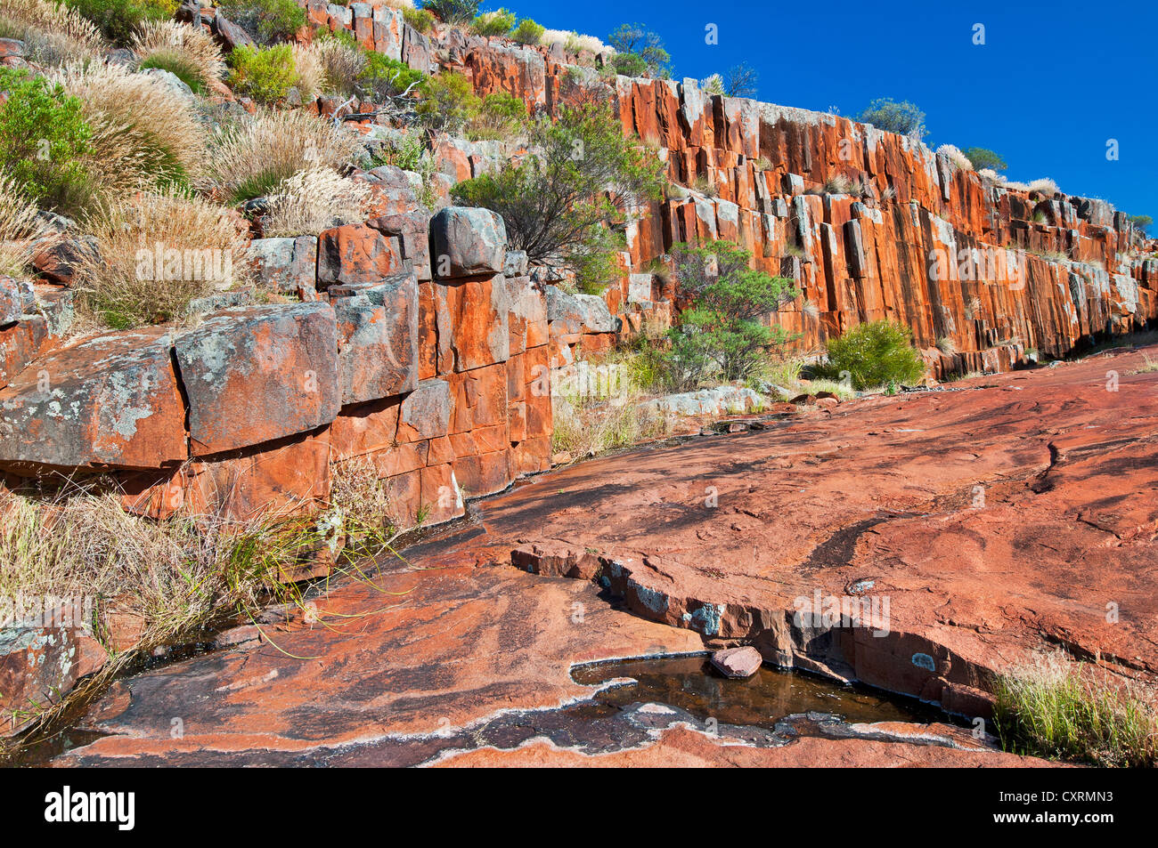 Felsformation von Orgelpfeifen in Gawler Ranges National Park. Stockfoto