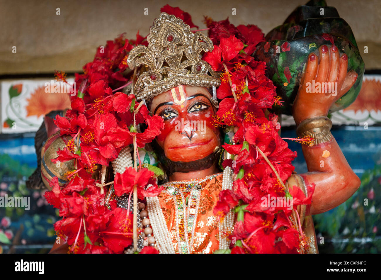 Hanuman, hinduistischer Affengott, rote Hibiskusblüten, Calcutta oder Kolkata, Westbengalen, Indien, Indien, Asien Stockfoto Hanuman, hinduistischer Affengott, rote Hibiskusblüten, Calcutta oder Kolkata, Westbengalen, Indien, Indien, Asien Stockfoto