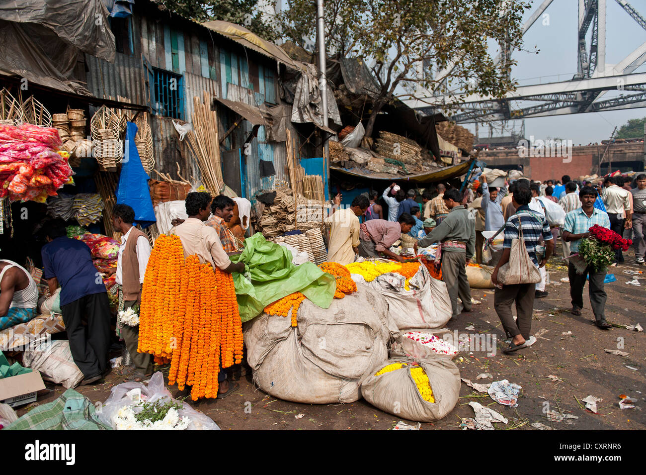 Blumenmarkt, Howrah Bridge, Kalkutta oder Calcutta, West-Bengalen, Ostindien, Indien, Asien Stockfoto