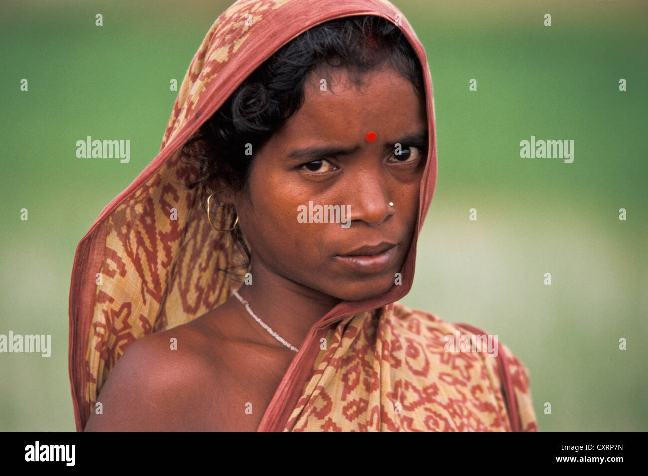 Frau trägt ein Sari, Bauernhof Arbeiter, Porträt, in Cuttack, Orissa, Indien, Indien, Asien Stockfoto