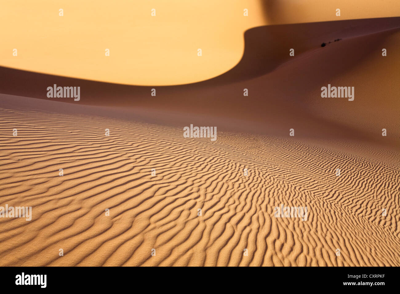 Wellenmuster, Strukturen auf Sanddünen der libyschen Wüste, Sahara, Libyen, Nordafrika, Afrika Stockfoto