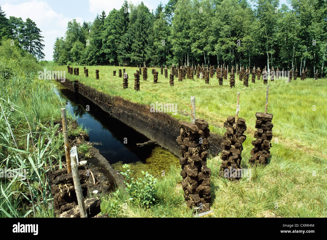 Alten Torf Graben in ein Moor, Oberbayern, Deutschland, Europa Stockfoto