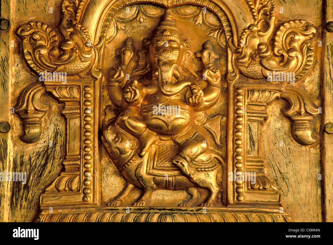 Elefantenköpfige Hindugott Ganesha, Ganesh oder Ganpati montiert auf einer Ratte, vergoldete Relief, Madurai, Tamil Nadu, Südindien, Indien Stockfoto