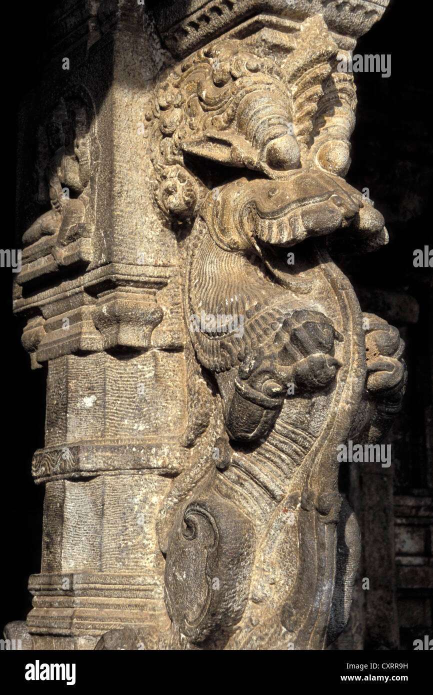 Fabelwesen, reich verzierten Spalte, Ranganathaswamy Tempel, einen Hindu-Tempel, Srirangam, Trichy, auch bekannt als Tiruchirappalli Stockfoto
