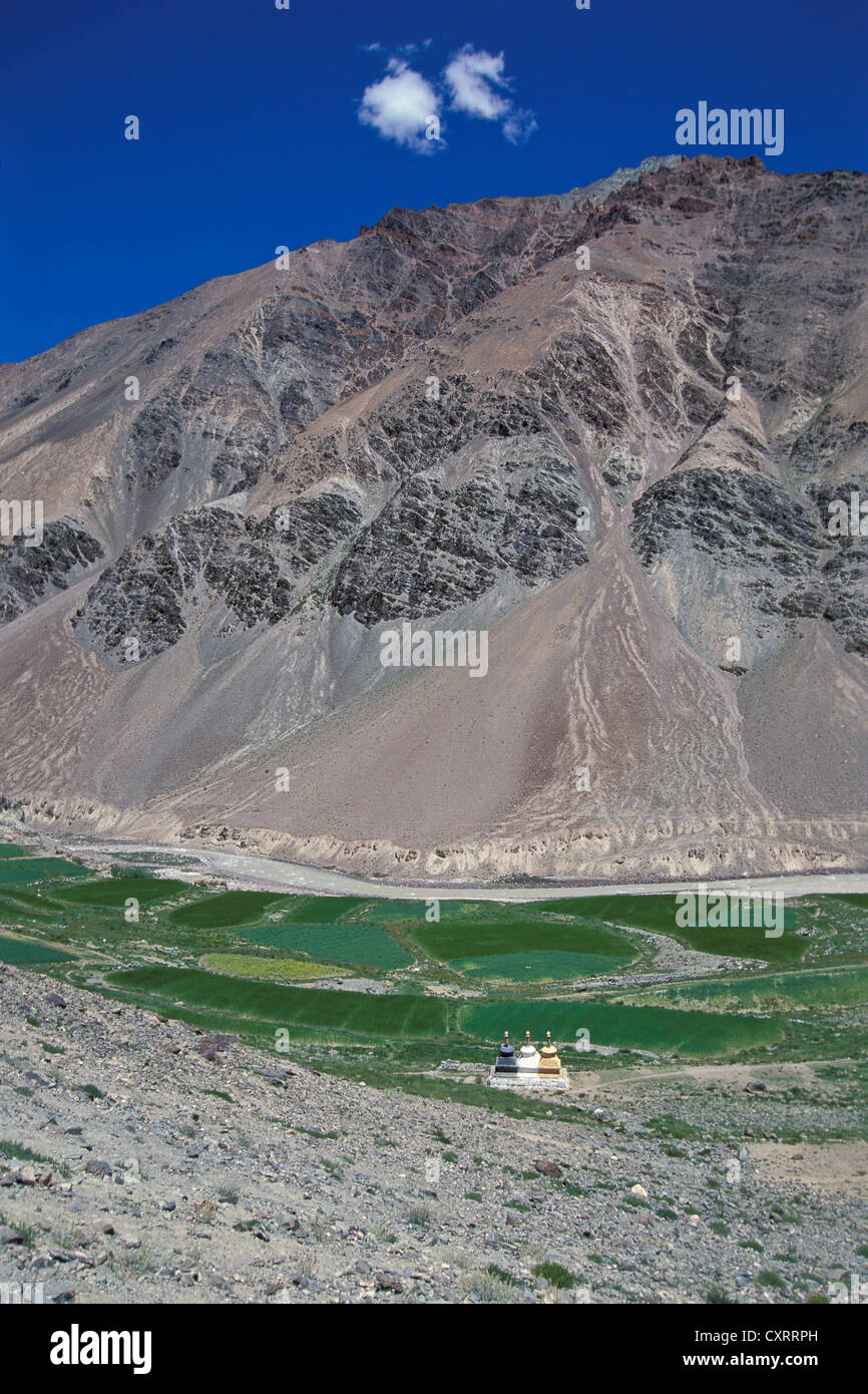 Wolken, robuste Berghang und Felder, in der Nähe von Tetha, Zanskar, Ladakh, Jammu und Kaschmir, Nordindien, Indien, indischen Himalaya Stockfoto