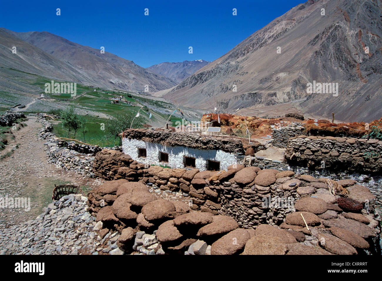 Yak-Dung gelegt aus trocknen, Häuser, Weg, Tetha Dorf, Zanskar, Ladakh, Jammu und Kaschmir, indischen Himalaya, Nord-Indien Stockfoto