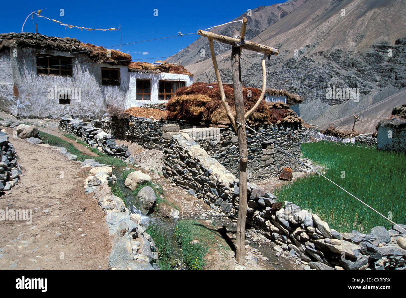 Improvisierte macht Pylon, Mauern, Häuser und Felder, Tetha Dorf, Jammu und Kashmir, Ladakh, Zanskar und indischen Himalaya Stockfoto