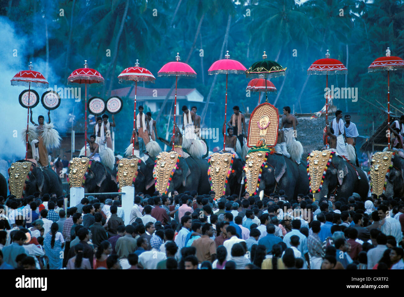 Elephant Parade, in der Nähe von Sree Sastha Tempel, Arattupuzha Pooram Festivals, in der Nähe von Thrissur, Kerala, Südindien, Indien, Asien Stockfoto