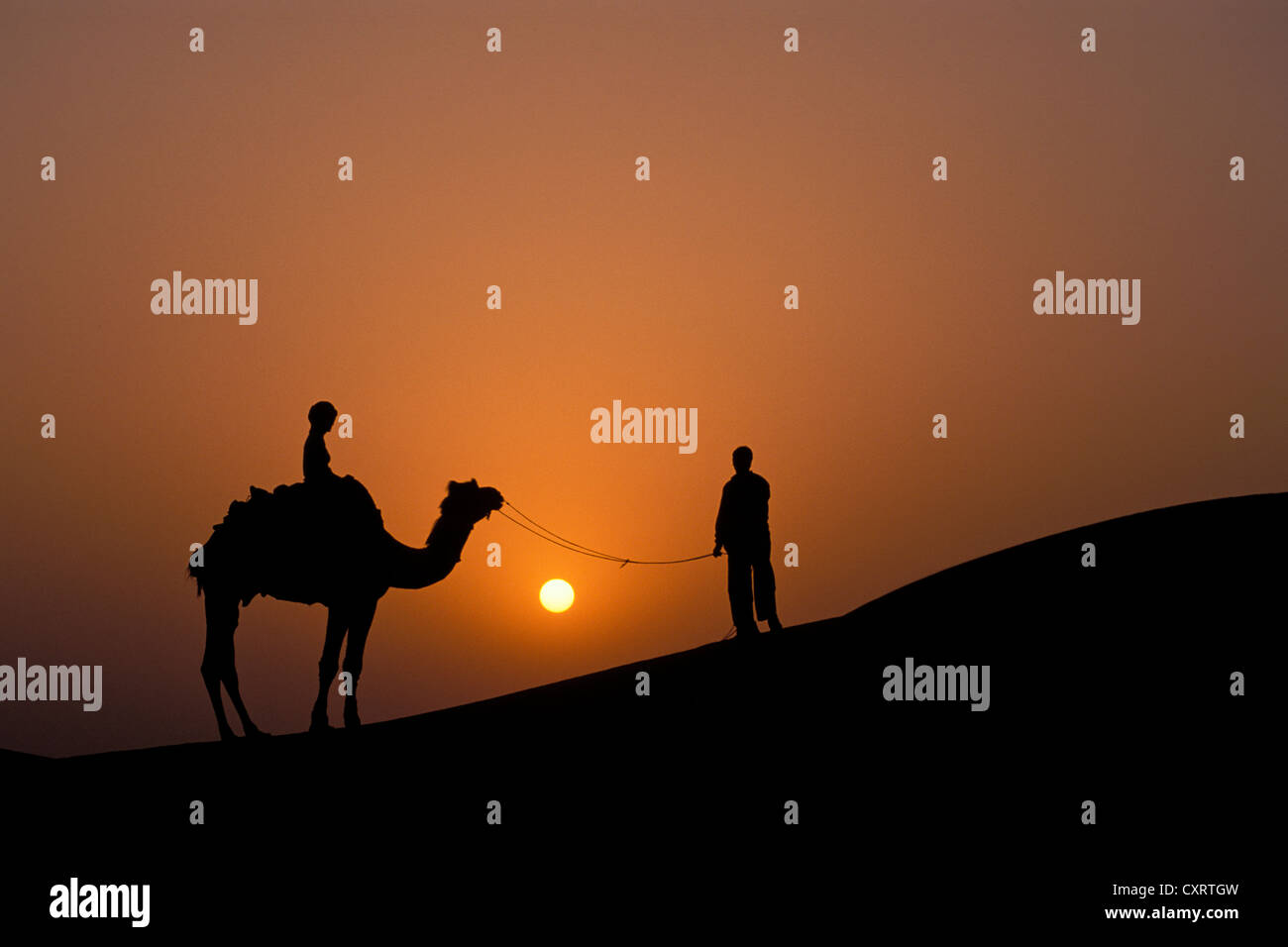 Sonnenuntergang, Kontur, Touristen sitzen auf einem Kamel mit Kamel-Treiber, Kamel Safari, Thar-Wüste, in der Nähe von Jaisalmer, Rajasthan, Indien Stockfoto