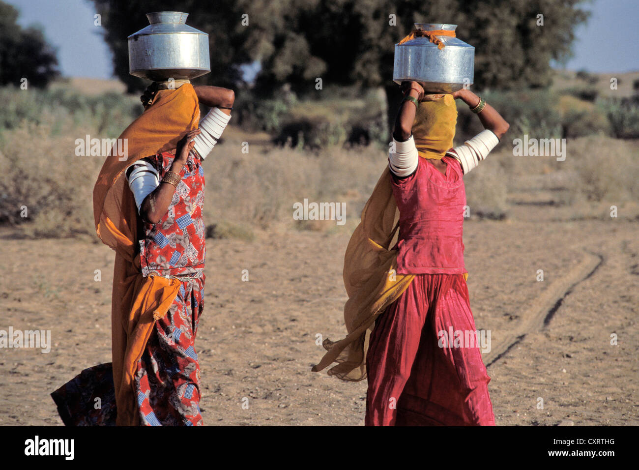 Frauen mit Schleier über ihre Gesichter tragen Wasserkanister auf dem Kopf, in der Nähe von Jaisalmer, Rajasthan, Nordindien, Indien, Asien Stockfoto