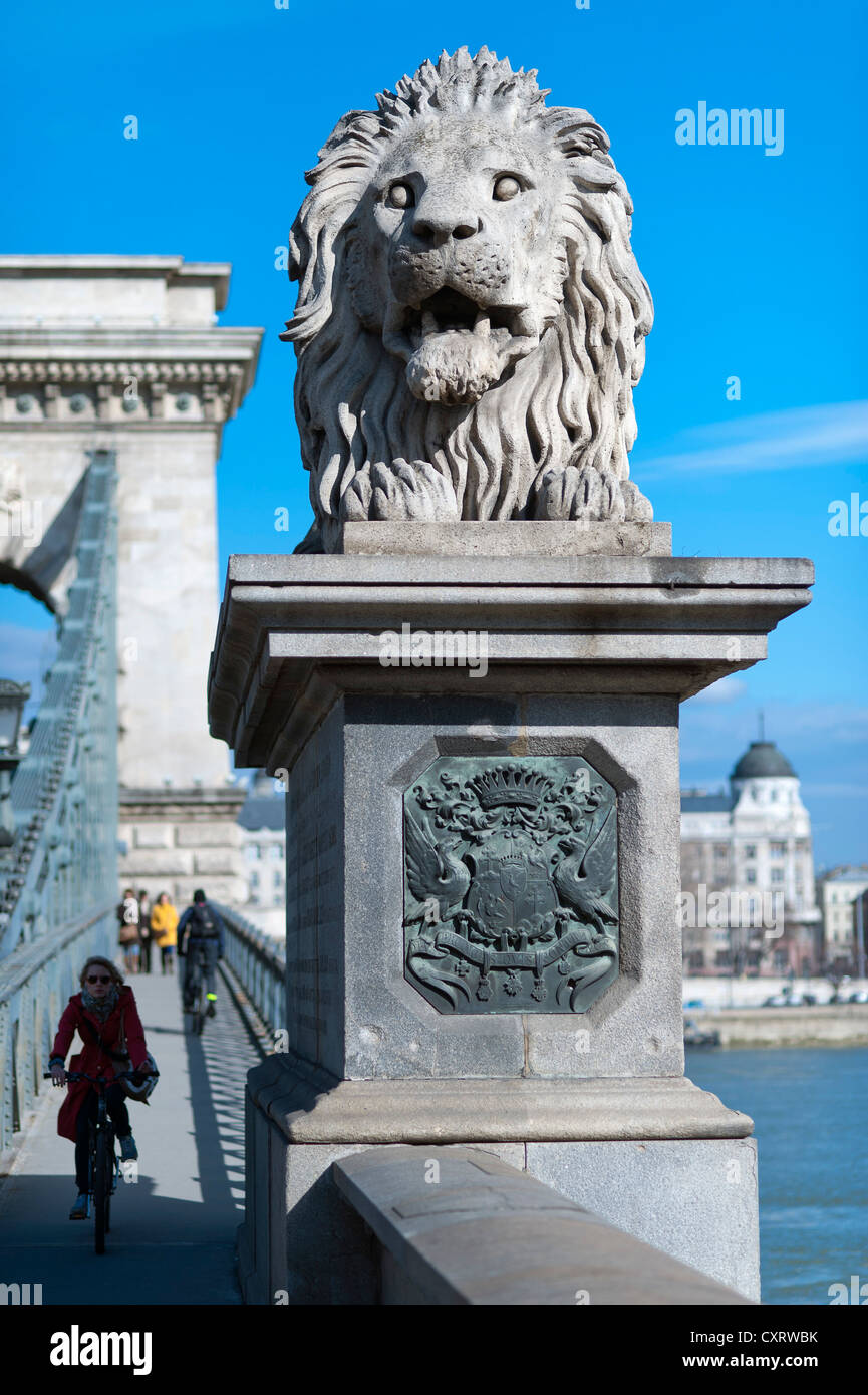 Löwenstatue auf Széchenyi Lánchíd, Kettenbrücke, Donau, Budapest, Ungarn, Europa Stockfoto