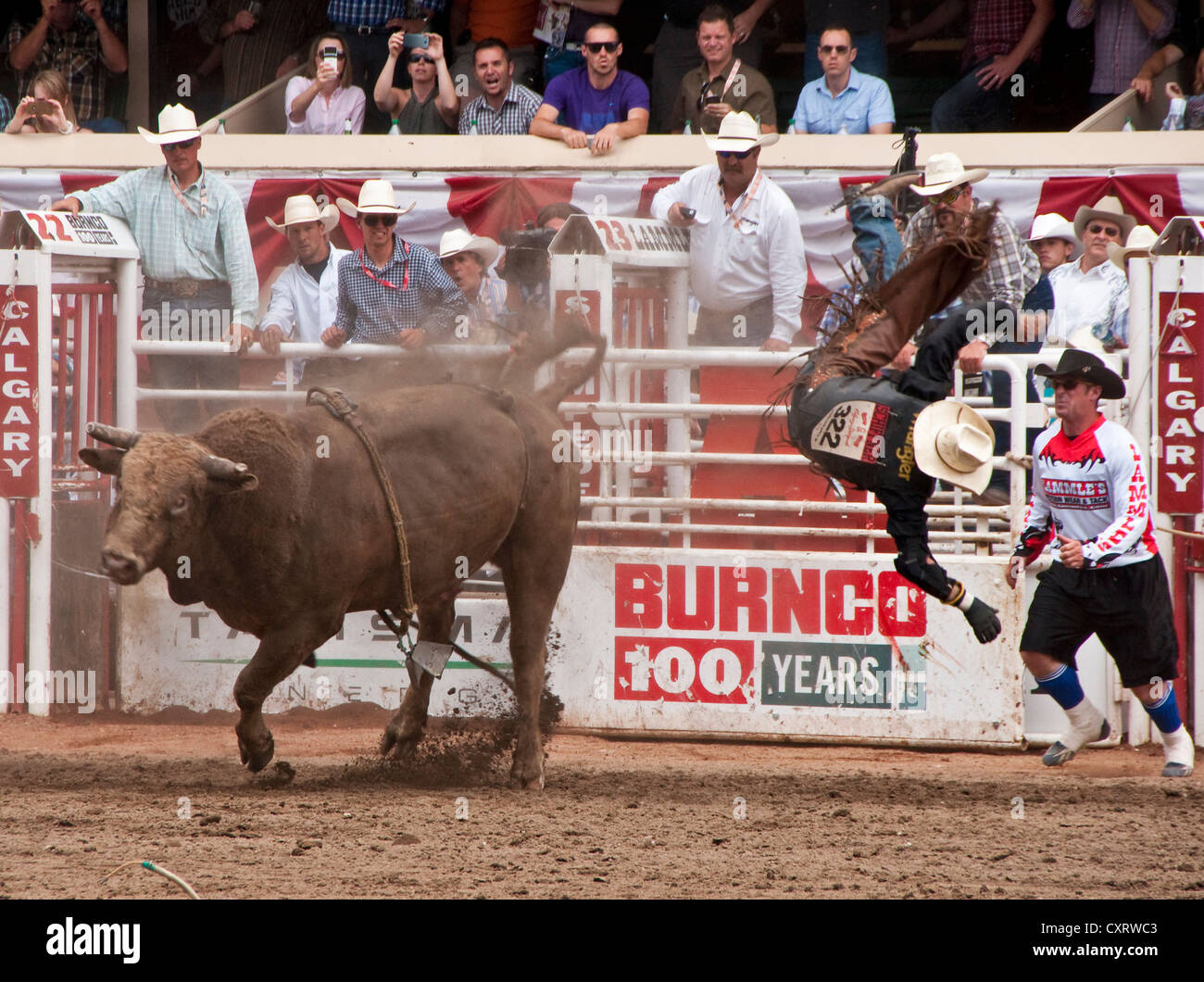 Bull Riding Kandidat wird geworfen, bevor 8 Sekunden bei der Calgary Stampede 2012 abläuft. Stockfoto