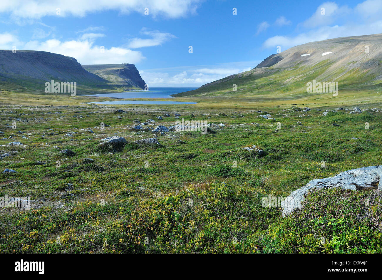 A alvík, Adalvik, Hornstrandir, Westfjorde, Island, Europa Stockfoto