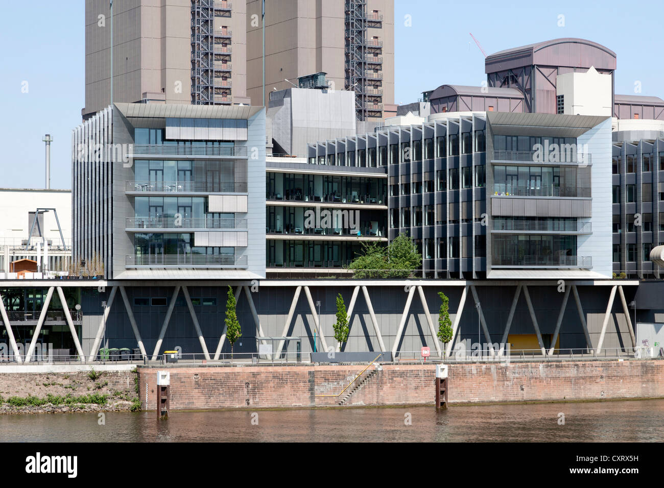 Bürogebäude am Westhafen-Pier, Westhafen Bezirk Frankfurt am Main, Hessen, Deutschland, Europa, PublicGround Stockfoto