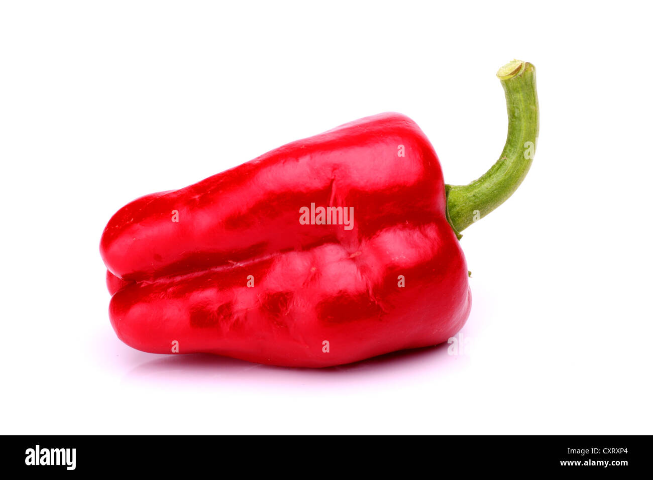 scharfe Chilischoten auf weiß Stockfoto