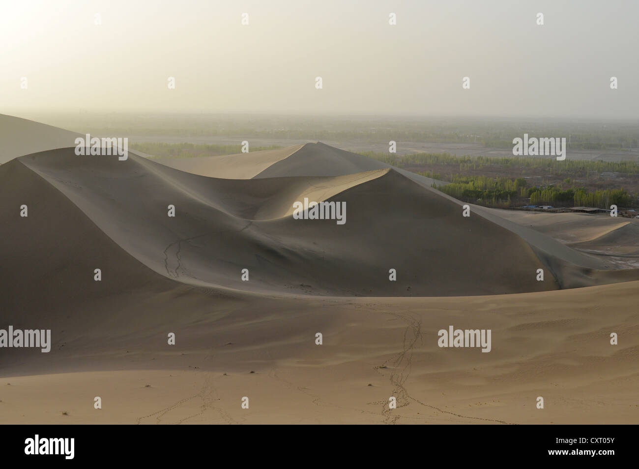 Sanddünen mit einer Karawane trail in der Wüste Gobi vor die grüne Oase von Dunhuang, Silk Road, Dunhuang, Gansu, China Stockfoto